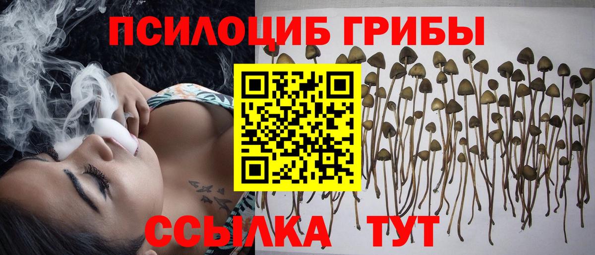 Галлюциногенные грибы Magic Shrooms  дарнет шоп  Вход с VPN  Малгобек  Псилоцибиновые грибы мухоморы 