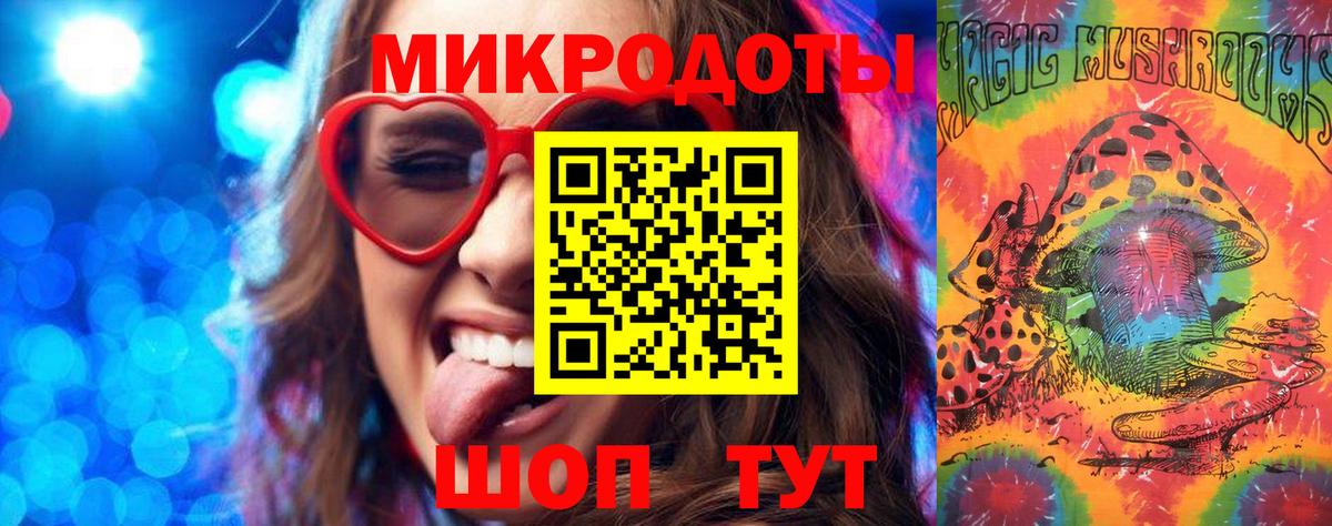 Галлюциногенные грибы Psilocybine cubensis Малгобек